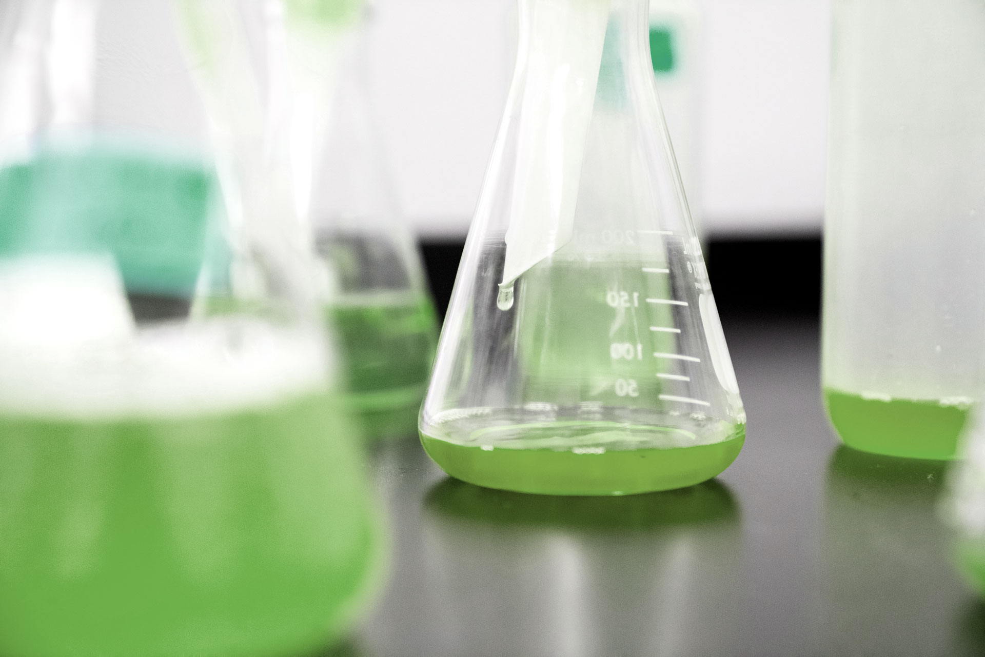 Vi aspettiamo ad Ecomondo 2024!